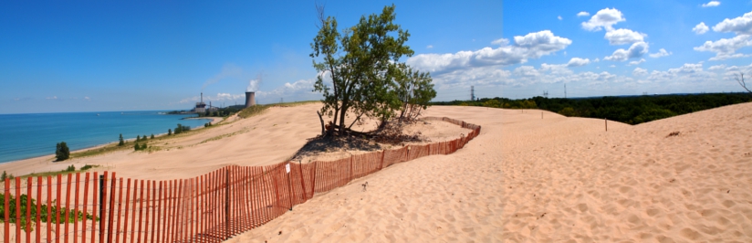 [Several photos stitched together depicting the top of the dune. Sand as far as the eye can see. In the center is a fence to deter shifting sand. Several trees are atop the dune. The lake can be seen off in the distance to the left.]